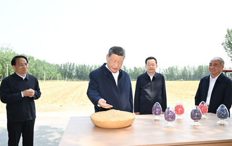 习近平在山东德州考察时强调 以扎实举措推进农业农村现代化 用勤劳和智慧创造更加美好生活