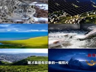 两山理念的高原答卷—光伏羊背后的生态答卷