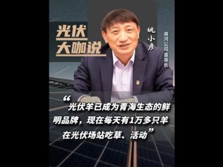 光伏羊已成为青海生态的鲜明品牌